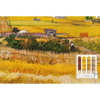 Coffret Guirlande MOISSON