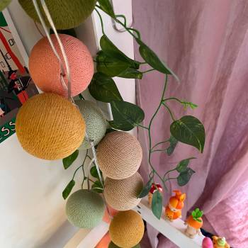 Coffret Guirlande VENUS